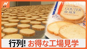 予約不要でしかもタダ！明日行ける！お得な工場見学を紹介 あの人気ラスクに明太子まで | TBS NEWS DIG