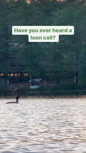 1.9K views · 31 reactions | What would you say is the eeriest sound...