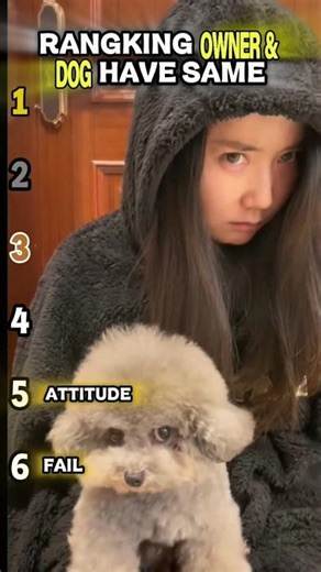 Ranking Dogs That Look Exactly Like Their Owners! (Wait for #1) 🤠 #dogbreed #dogsbody #shortviral