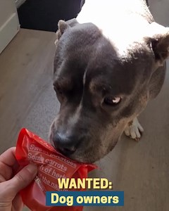 3.4K reactions · 148 shares |  Don't miss out on this amazing offer...