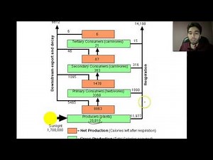 Ecology Basic Review