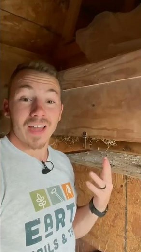 Essential Chicken Care Tips: 5 Things to Know Before You Start! #chicken