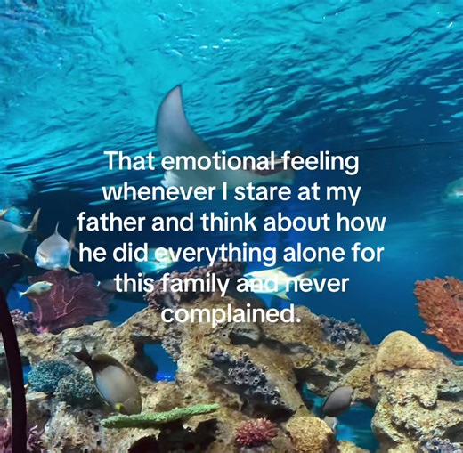 A Tribute to My Amazing Dad