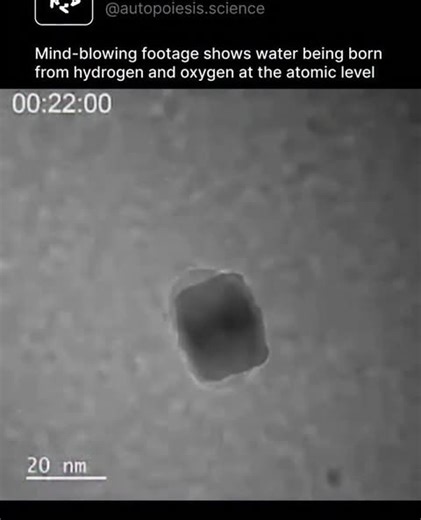 zorancodes | Scientists captured water forming at the nanoscale for the first time using an electron microscope. The bright blob in the video is a tiny... | Instagram