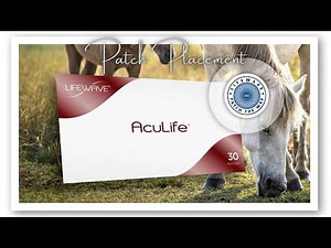 LifeWave Aculife Patches- Horses Don't Lie- Patch Placements