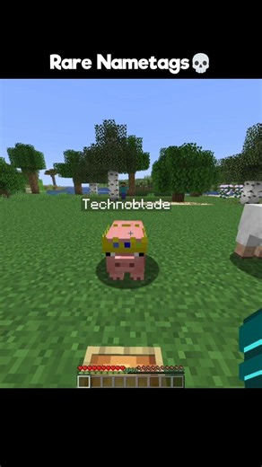 Minecraft Rare Nametags💀