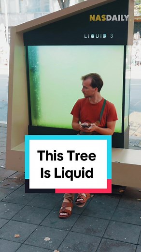 Liquid Tree: A Unique Creation