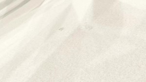 On January 13, 2024, Dr. Agbu Kefas conducted a tour, overseeing various projects in the state. Below is a brief highlight summarizing the tour. | Agbu Kefas