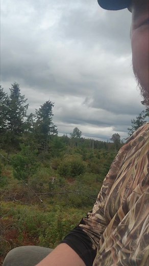 1.8K views · 12 reactions |  #logtruck #peterbilt #sercoloader | Logger Mack | Facebook