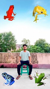 174K views · 738 reactions | Red, yellow, green & blue frog to dancing funny frog 浪藍 vfx magic video #comedy #vfx #editing #viral #trending #reels #game #magic #funny #explore #fun #foryou | Ayan mechanic | Facebook