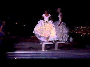 $1000 swim ring? Sober bride and dress go into pool!