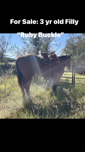 Wanda Jetton on Reels