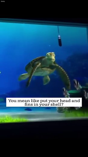 142K views · 2.1K reactions | BUBBLE MAKING SESSION ｜ Turtle talk with crush  #TurtleTalk #funny #turtle | Turtle Crush Talk | Facebook