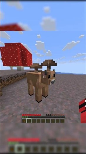 the "mushroom cow" is Best mob ever #minecraft