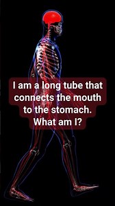 Only Experts Solve This Digestive Riddle!