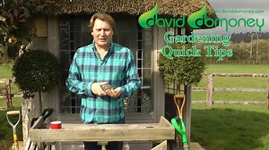 Make DIY ericaceous plant food with old rusty nails. Perfect for your acid soil loving plants! Check out my Gardening Quick Tips videos every Friday Afternoon. #GardeningTips | David Domoney