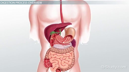 You must c C reate an account to continue watching