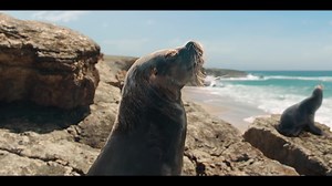 11 reactions | New Coors Pure is a refreshingly simple beer with organic barley, organic hops, and water. At 92 calories and zero sugar, it is the perfect beer to celebrate the wins of everyday life. 2021 Coors Brewery. Golden, CO. Celebrate Responsibly. | KITV4 | Facebook