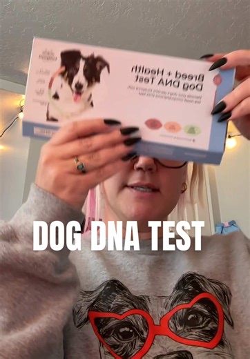 Understanding Dog Breeds Through DNA Testing