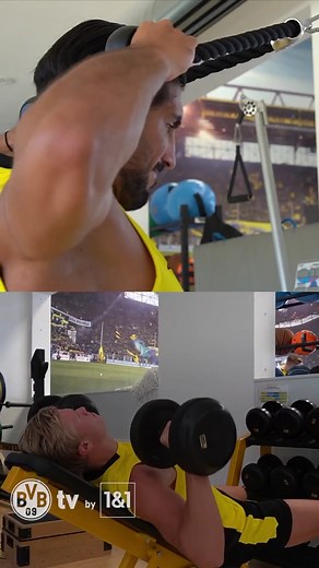 Borussia Dortmund on TikTok