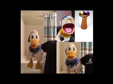 Donaldducc meets Donald Duck meets Jeffy #8
