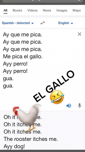 #gallo #google #traductordegoogle #traductor #elgallo #gallina #googletranslate