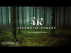 4k forest - Cinematic Forest - 4k Nature Video Ultra HD