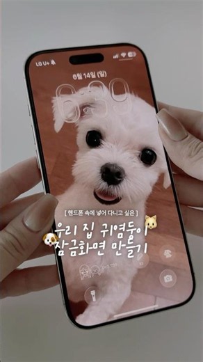 우리집 귀염둥이 잠금화면 만드는 법 2가지🐶🐱