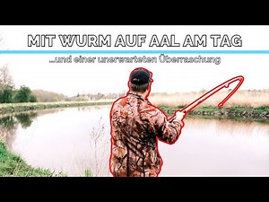 Mit Wurm auf Aal angeln am Tag und einer unerwarteten Überraschung