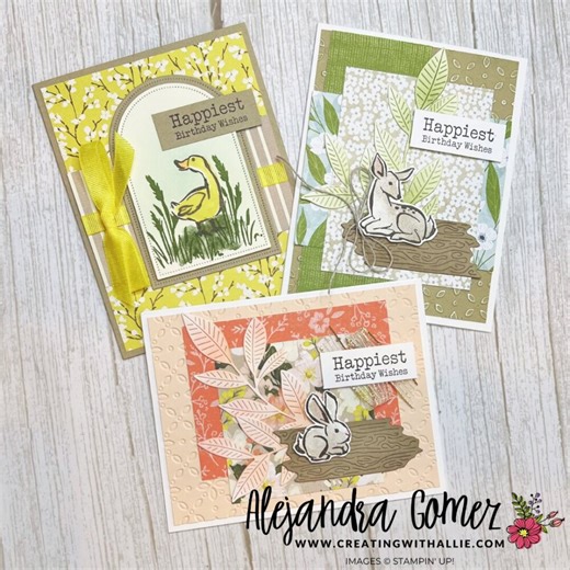 Three Birthday Cards with Notes of Spring Set - Creating With Allie