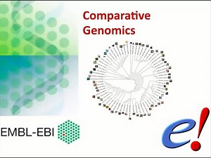 Virtual Workshop - The Ensembl Genome Browser - (2021): Webinar 4 - Comparative Genomics