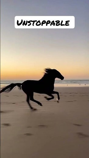 unstoppable / invincible /horse / horse riding / run fast / make it happen / work for dreams.
