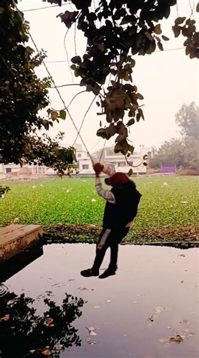 jhula se gir gaya😂