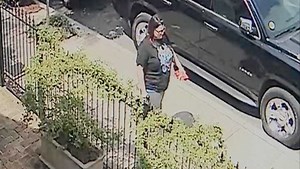 Woman seen stealing iconic water meter covers Uptown