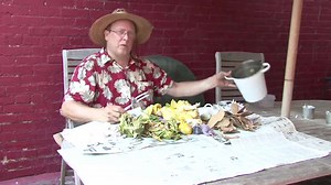 Compost kitchen scraps