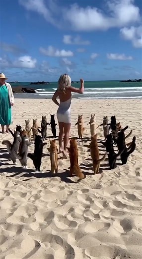 Lady Dances with Cat on the Beach 💃🐱🌊 | Cutest & Funniest Duo Ever! 😂☀️