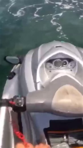 Creeps one on Instagram