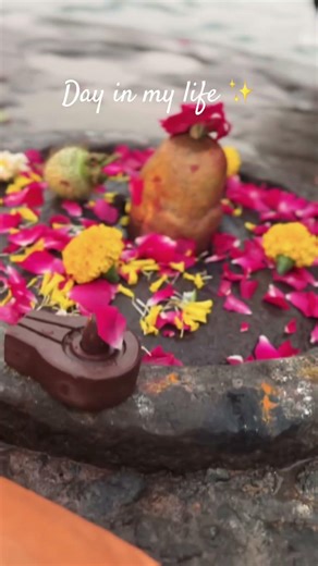 #viral#minivlog#shortsfeed #youtubeshorts#love#trending #trendingshorts#dailyshorts #dailyvlog#yt