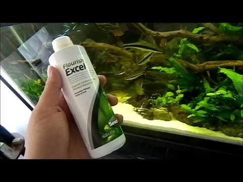 My Thoughts on Seachem Flourish Excel