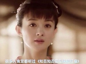 ost是什么意思梗