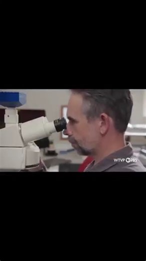 PBS NOVA Angkor Hidden Jungle Empire teaser