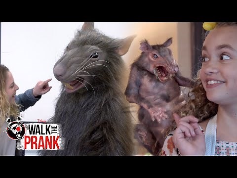 Animal Fun! Pranks Compilation | Walk the Prank | Disney XD