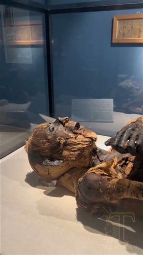 Mummy of a man: New Kingdom, (ca. 1550-1069 BC) Sinneris, Faiyum #ancientegypt #history #mummy