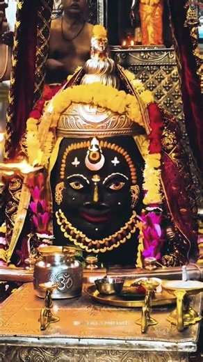 🔱❤️🔱काल की बिकराल की त्रिलोकेश्वर कृपाल की करो रे मंगल आरती मृत्युंजय महाकाल की..#Shorts