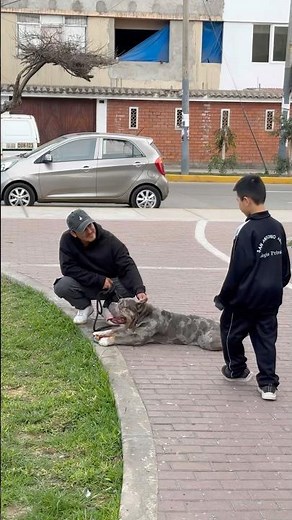 real Lima Life 🇵🇪