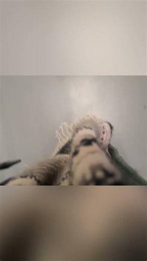 Barefoot in a Farm Shop with my daughter; what happens? #barefootlifestyle #barefootconfidence