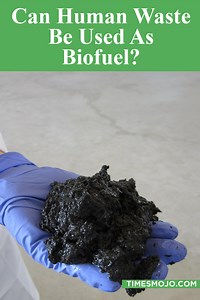 Can human waste be used as biofuel? - TimesMojo