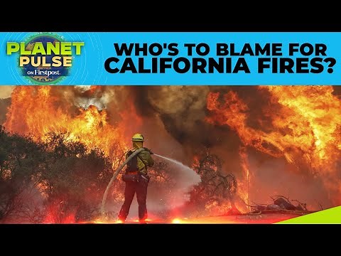 California Wildfires: How Climate Change Fueled the Deadly LA Fires | Planet Pulse | N18G