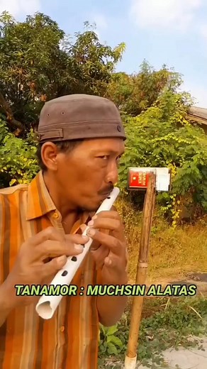 JADUL MANTUL | M Munif