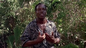 Pure.Luck.by_rohh.1991.WEB-DL.720p